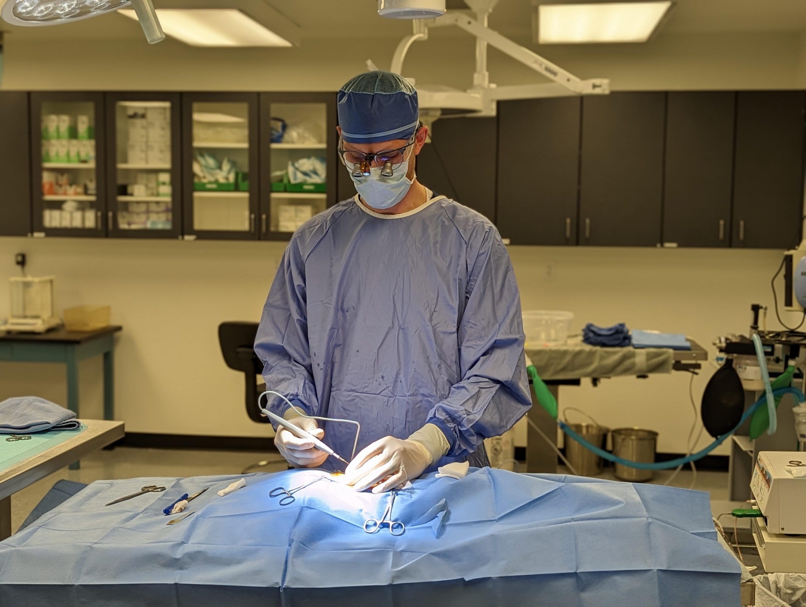 preclinical research