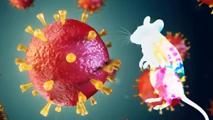 Non-GLP preclinical studies using animal models for early research evaluation