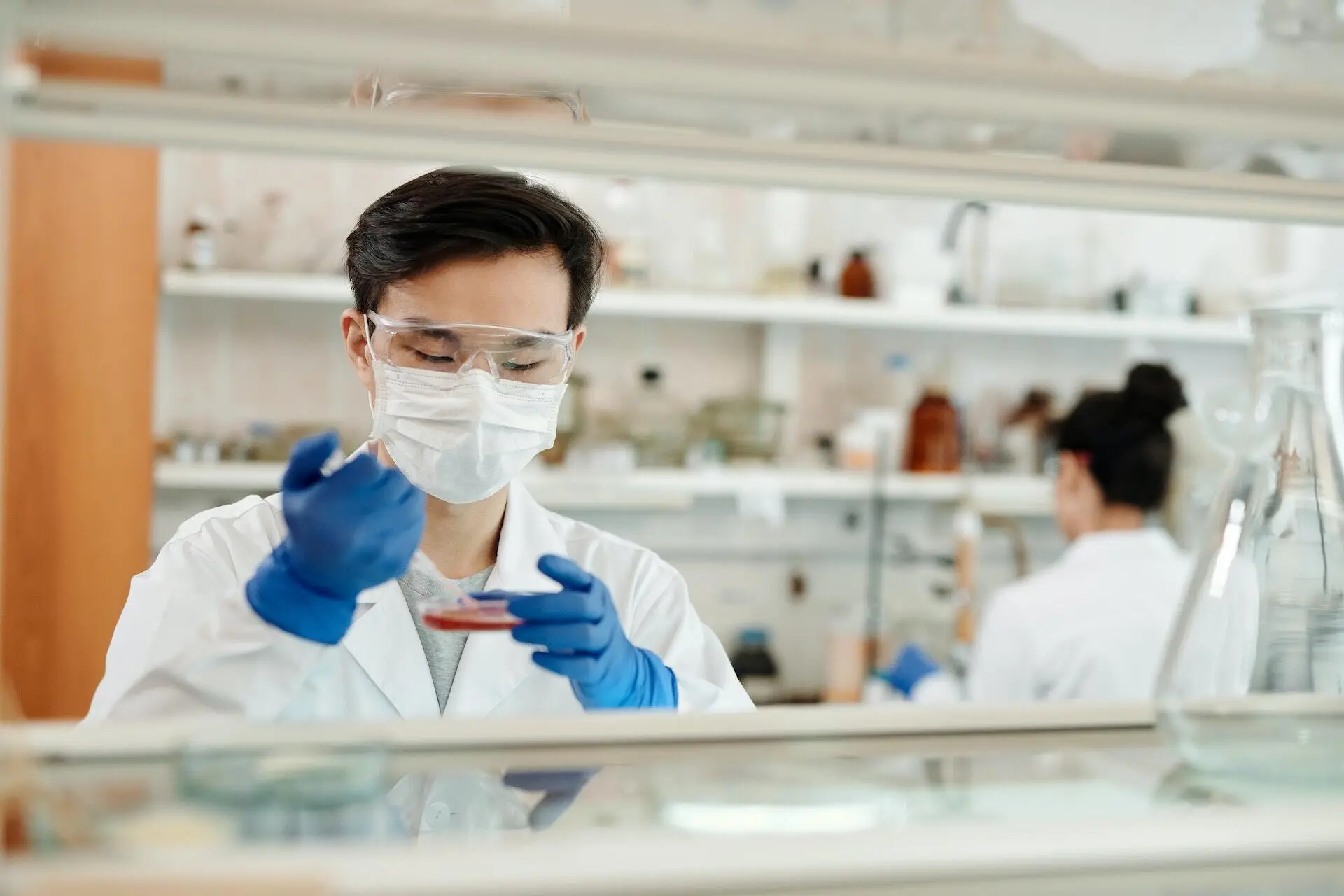research scientist examining a petri dish in a preclinical laboratory